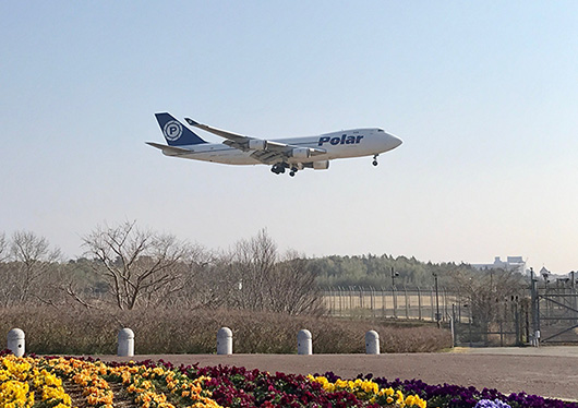 空の駅 さくら館