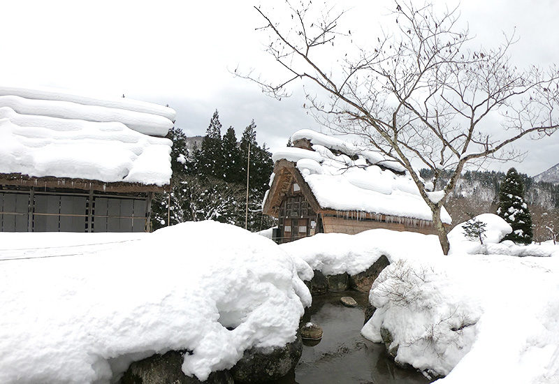 合掌造り 民家園 白川郷