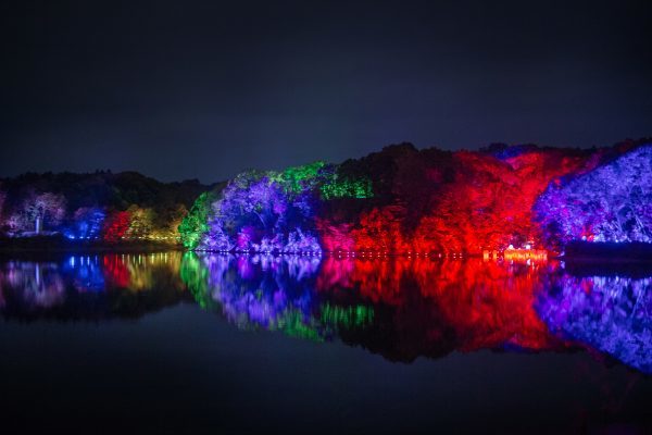 メッツァビレッジ チームラボ 森と湖の光の祭