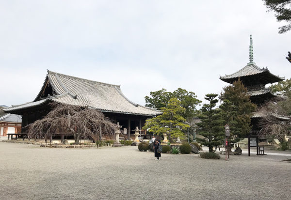 和歌山 日帰り バスツアー 道成寺 本堂 多重搭 境内