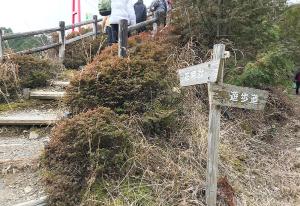 和歌山 ヤッホーポイント グリーンパーク椿山