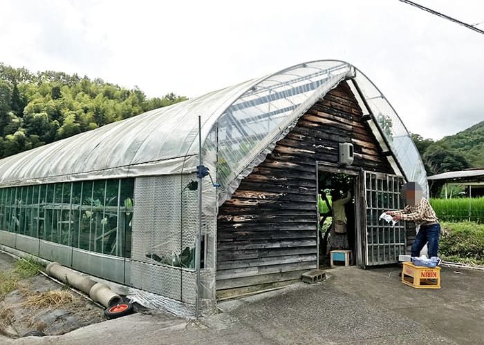 岡山 日帰り バスツアー 戸田農園